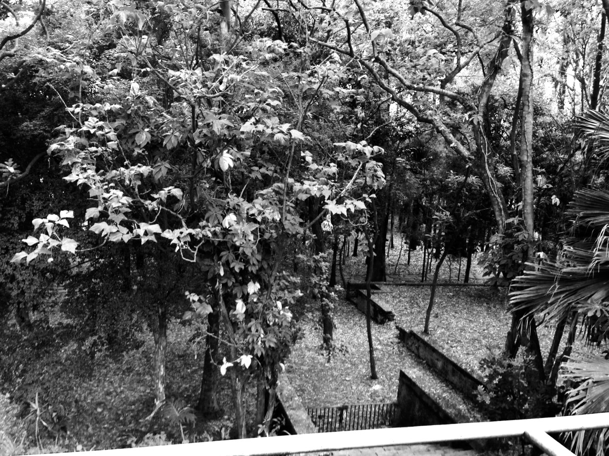 The grounds of Casa Modernista in the city of São Paulo, Brazil. www.museudacidade.sp.gov.br/casamodernista.php